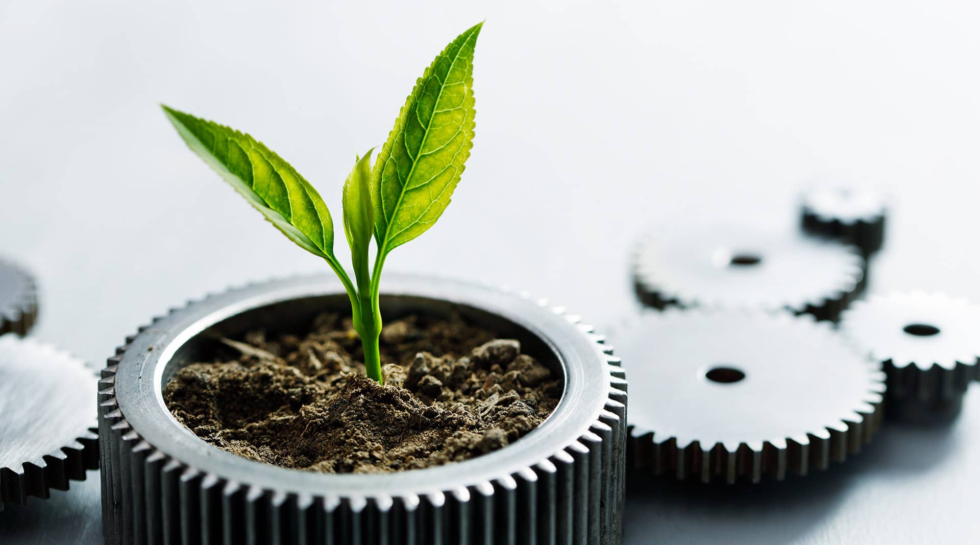 Umweltschutz und Nachhaltigkeit