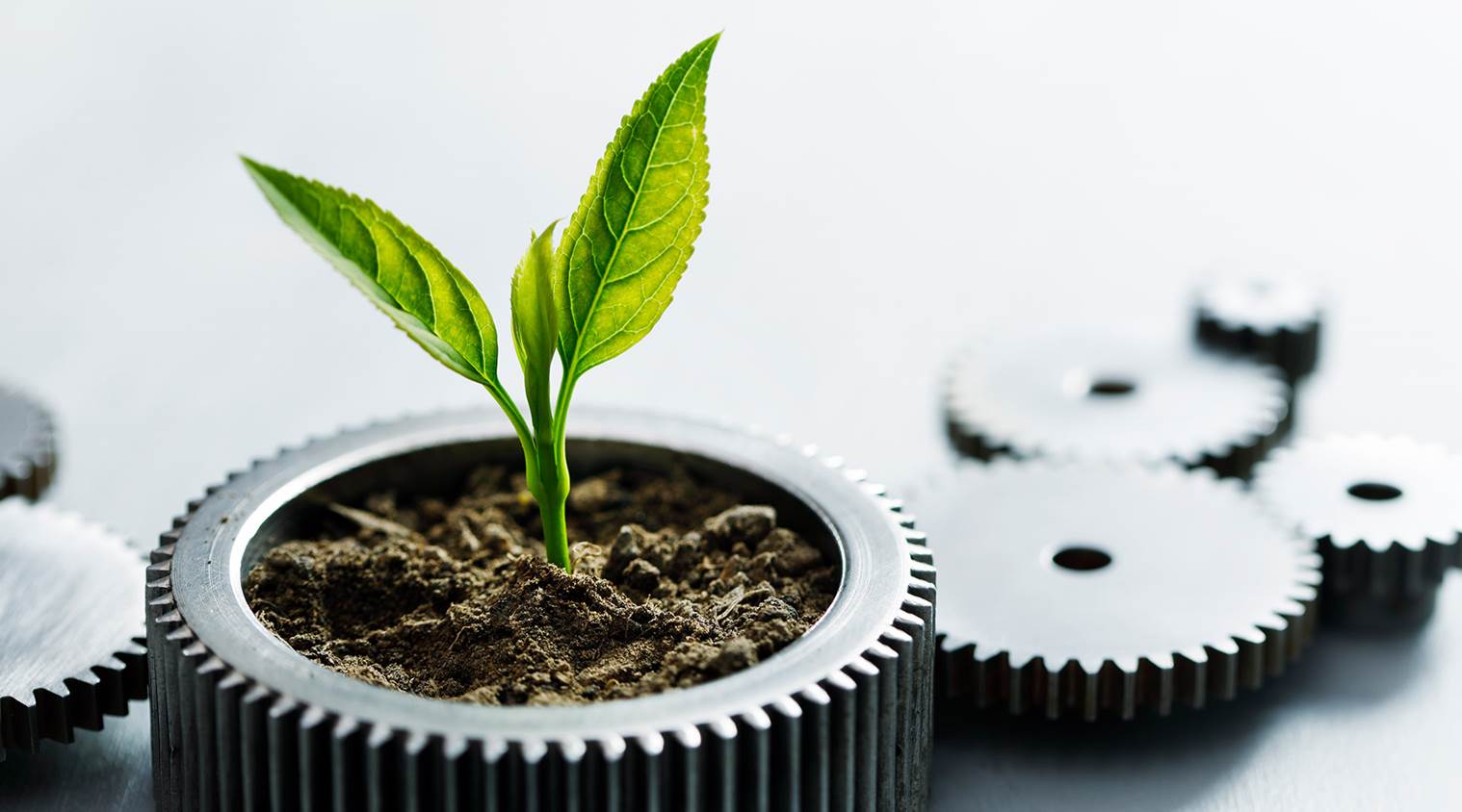 Umweltschutz und Nachhaltigkeit