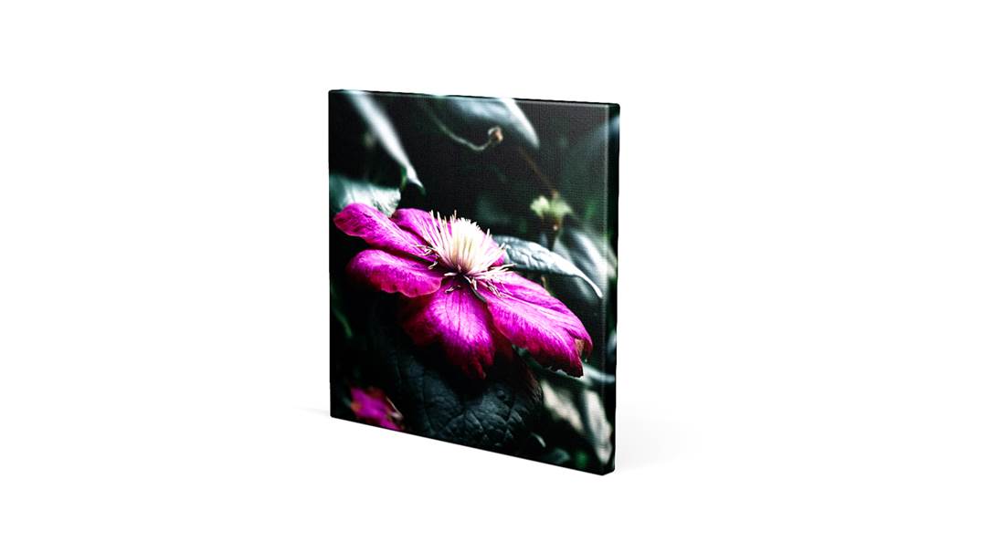 Leinwand quadratisch