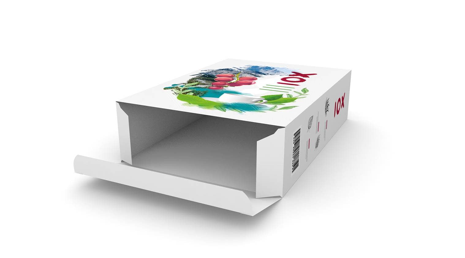 Faltschachtel mit Einstecklaschen